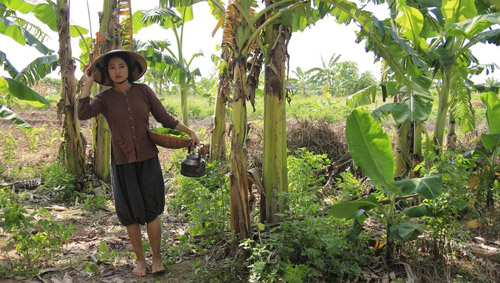 Ngắm người phụ nữ khổ nhất màn ảnh Việt 2015 - 6