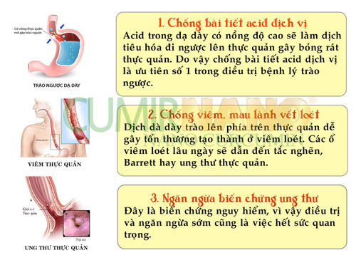 5 năm trào ngược dạ dày thực quản: giờ chỉ là quá khứ! - 3