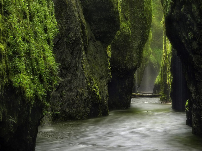 Bạn sẽ lạc vào chốn thần tiên khi đến dòng suối Oneonta Gorge, sông Gorge, bang Oregon, Columbia.&nbsp;
