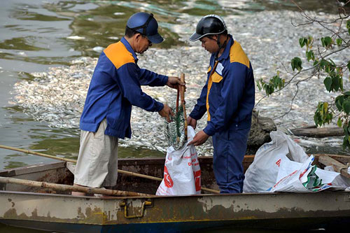 Đặt máy tạo oxy công suất lớn cứu cá Hồ Tây - 3