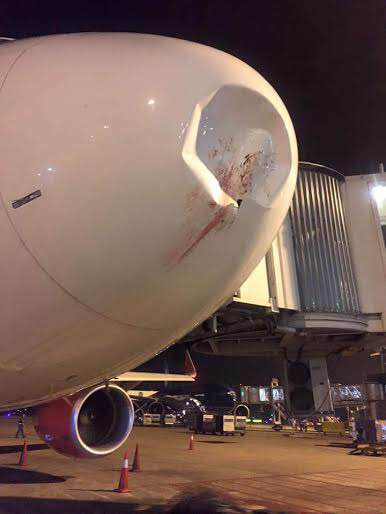 2 máy bay Vietnam Airlines bị chim trời đâm vào động cơ - 1