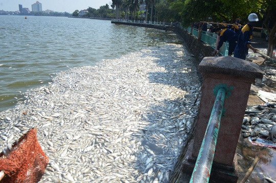 Phó Thủ tướng giao Bộ Công an vào cuộc vụ cá chết ở Hồ Tây - 2