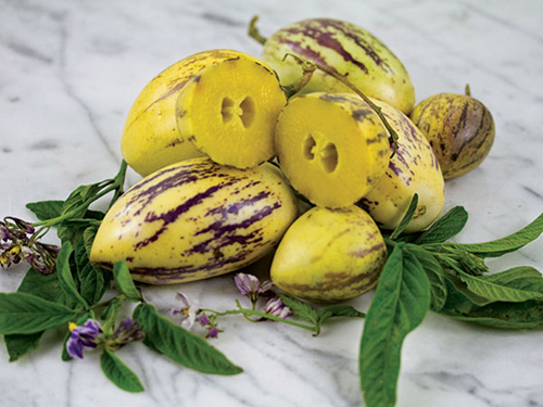 Cận cảnh những giống dưa lạ khiến chị em "phát sốt" - 12