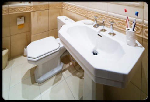 Kinh hoàng ổ vi khuẩn trên bàn chải đánh răng - 2