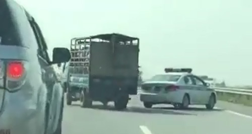 Lái xe chở lợn bỏ chạy đánh võng trên cao tốc Hà Nội - Lào Cai - 1