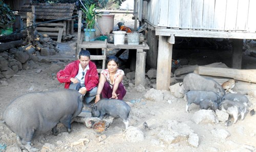 Chuyện bắt chồng ở đèo Phượng Hoàng - 3