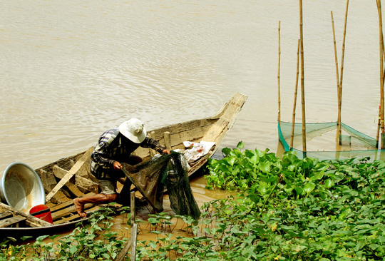 Lũ đã về, dân miền Tây như... sống lại! - 7