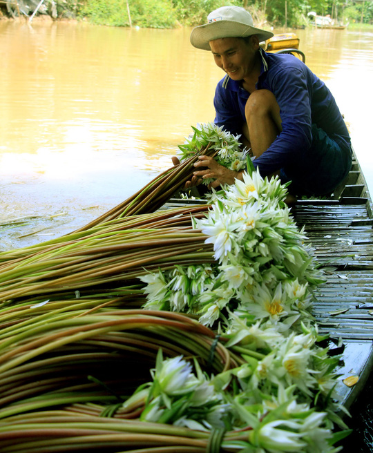 Lũ đã về, dân miền Tây như... sống lại! - 8