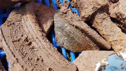 Phát hiện nền đất lạ ở khu vực khảo cổ tìm mộ Quang Trung - 1