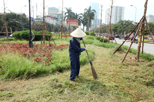 Hà Nội nhộn nhịp cắt cỏ trở lại sau 3 tháng tạm dừng - 6