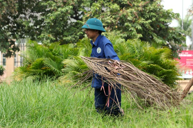 Hà Nội nhộn nhịp cắt cỏ trở lại sau 3 tháng tạm dừng - 11