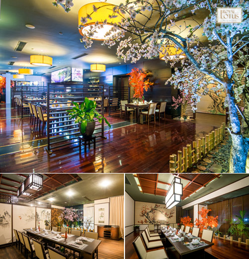 Royal Lotus Hotel Halong – Khách sạn 4 sao tiêu chuẩn Quốc tế - 3