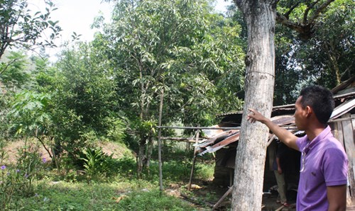 Vào nơi sẽ đặt nhà máy thép nghìn tỷ - 3