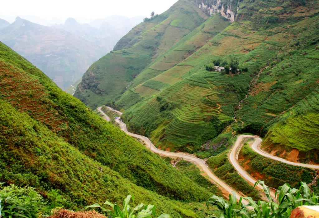 Mùa hoa tam giác mạch trên cao nguyên đá Hà Giang - 2