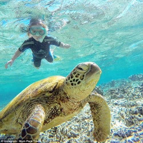 Bỏ việc để đưa con đi du lịch vòng quanh thế giới - 11