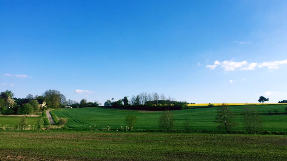 Cuộc sống đi khắp thế giới của sao “Xin hãy tin em” - 10