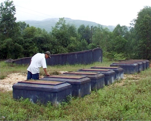Chuyện lạ ở Huế: Hàng ngàn ngôi mộ bị đóng đinh - 1
