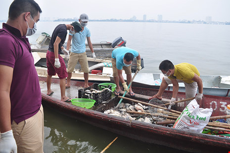 Cá chết Hồ Tây: Nhà máy 1.000 tỉ phải 'xin' nước thải - 1