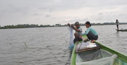 Đồng bằng Sông Cửu Long: Dân rốn lũ đỏ mắt tìm cá - 1