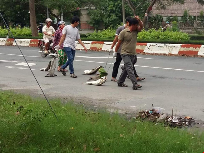 Dân kéo lê xác cá 'chặn' quốc lộ 51 - 3