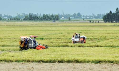 Tỷ phú trên “Cánh đồng chó ngáp“ - 3