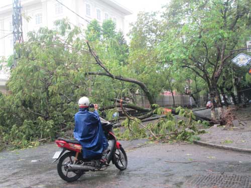 Hai người chết và mất tích do áp thất nhiệt đới ở Huế - 5