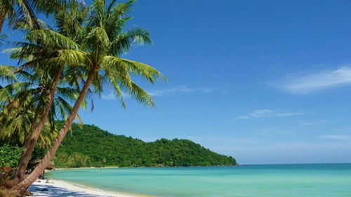 "Robinson" trên đảo thiên đường - 2