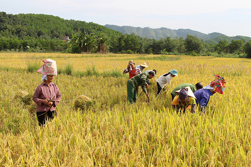 Quảng Ninh-Hải Phòng cấm biển, căng mình ứng phó bão số 7 - 4