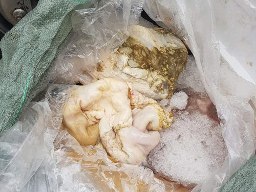 Bắt giữ hơn 300 kg nội tạng bốc mùi thối chở sang Lào tiêu thụ - 2