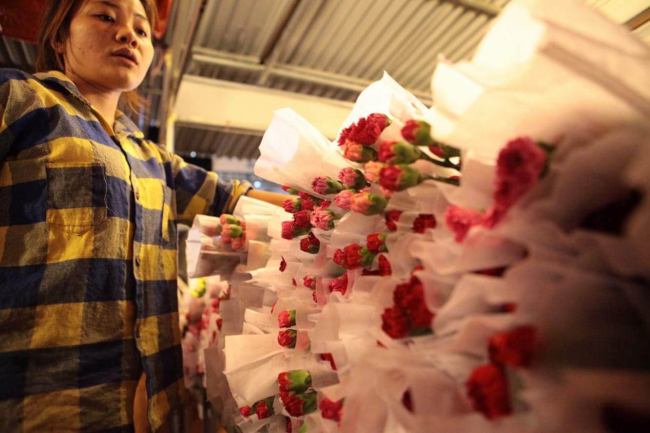 Thị trường hoa 20/10: Giá tăng gấp 3 vẫn cháy hàng - 8