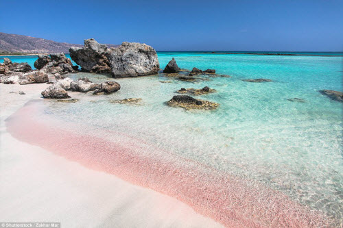Những bãi biển màu hồng đẹp như mơ khắp thế giới - 1