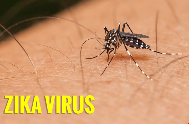Thêm 1 bệnh nhi nhiễm virus Zika - 1
