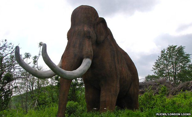 Anh: Nhặt được răng của voi ma mút 3 triệu năm tuổi - 2