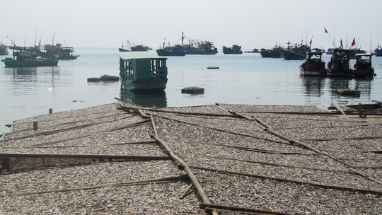 Những ngày đi trốn trên đảo Nam Du - 3