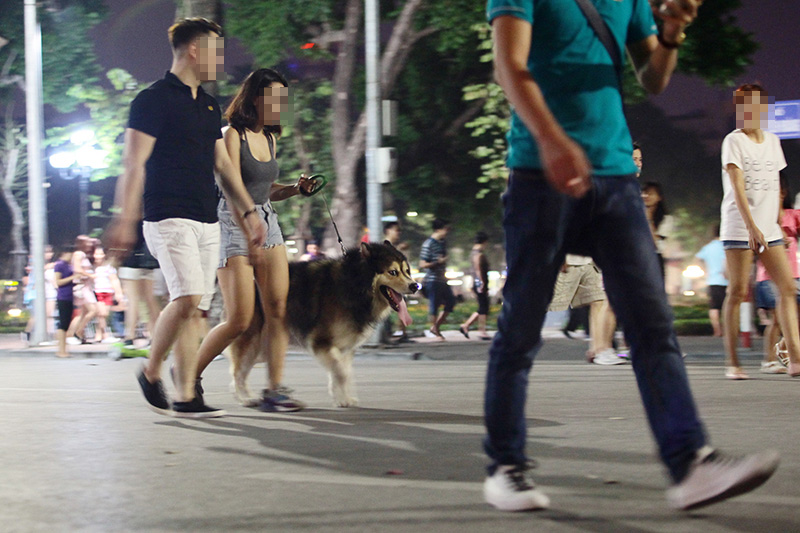 Cấm chó ở phố đi bộ: Chủ nhét chó vào túi để qua chốt - 1