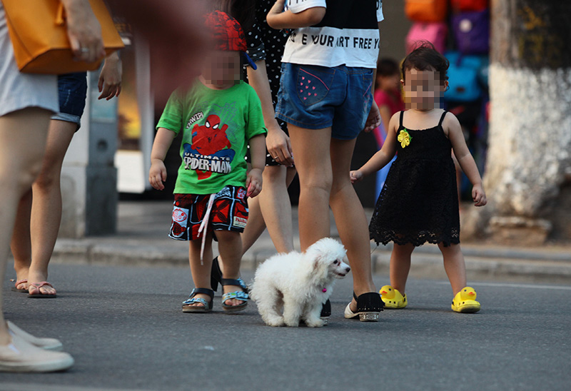 Cấm chó ở phố đi bộ: Chủ nhét chó vào túi để qua chốt - 6