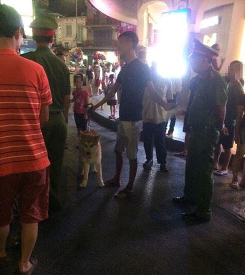 Cấm chó ở phố đi bộ: Chủ nhét chó vào túi để qua chốt - 7