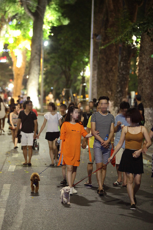 Cấm chó ở phố đi bộ: Chủ nhét chó vào túi để qua chốt - 5