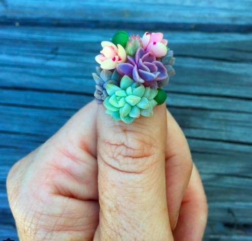 Rộ mốt mới trồng cây trên móng tay - 2