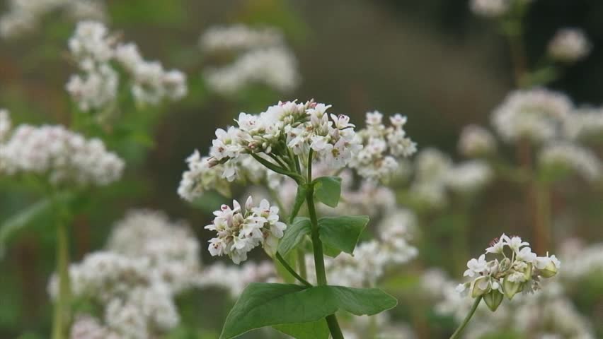 Mất ngủ ở nam giới: Chìa khóa giúp tìm lại giấc ngủ 7 tiếng mỗi đêm - 4