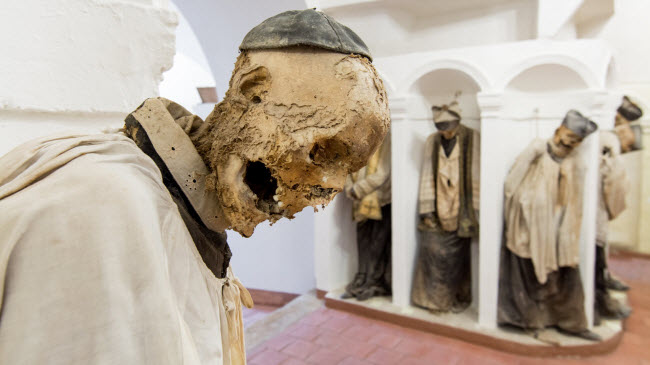 Những xác ướp được xếp dựng đứng trong hầm mộ Capuchin ở thành phố Palermo, Italia. Một số xác ướp có niên đại từ thế kỷ thứ 16.