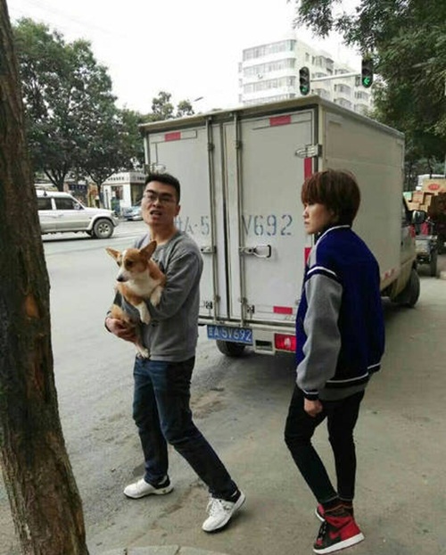 Thanh niên đánh lao công vì cản chó "đi bậy" ngoài đường - 1