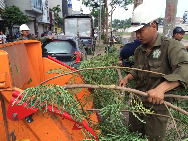 Xem máy nghiền &#34;nhai&#34; cây xanh ở Thủ đô - 10