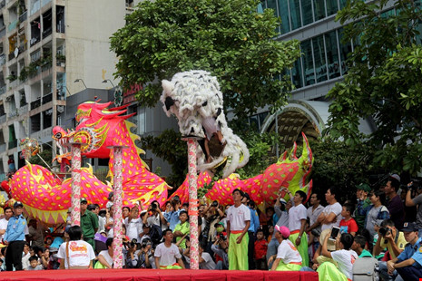 Mãn nhãn xem “Lân lên mai hoa Thung” trên phố đi bộ - 4