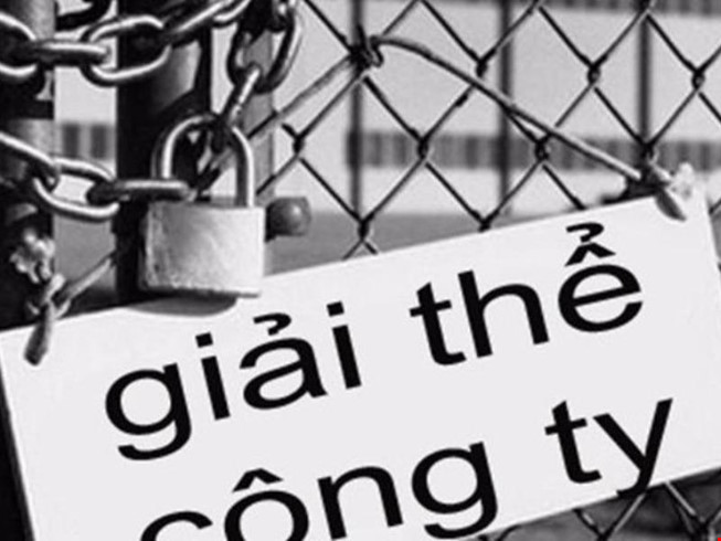 Gần 9.000 doanh nghiệp 'nhỏ' chấm dứt hoạt động - 1