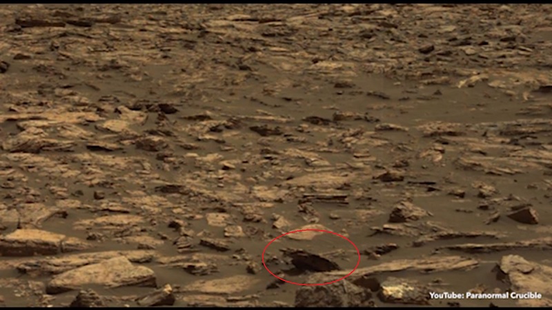 Ảnh của NASA cho thấy xác gấu nâu trên Sao Hỏa? - 1