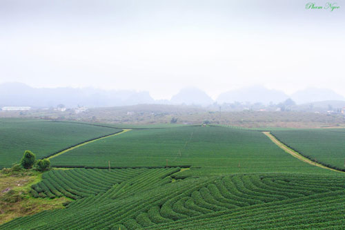 Mùa Thu ở cao nguyên Mộc Châu - 7