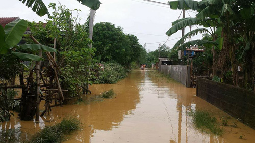 Quảng Trị: Lũ bất ngờ, hàng ngàn hộ dân bị chìm trong biển nước - 3