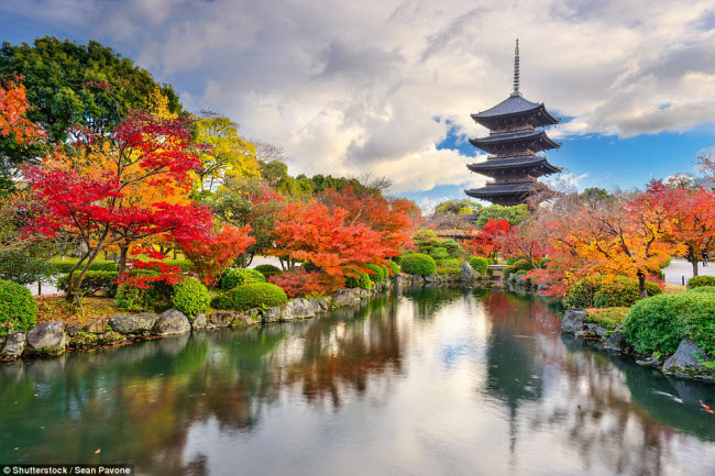 Được xây dựng tại thành phố cổ Kyoto ở Nhật Bản, ngôi chùa Toji trông nguy nga hơn nhờ nằm giữa khu vườn nhiều màu sắc rực rỡ.
