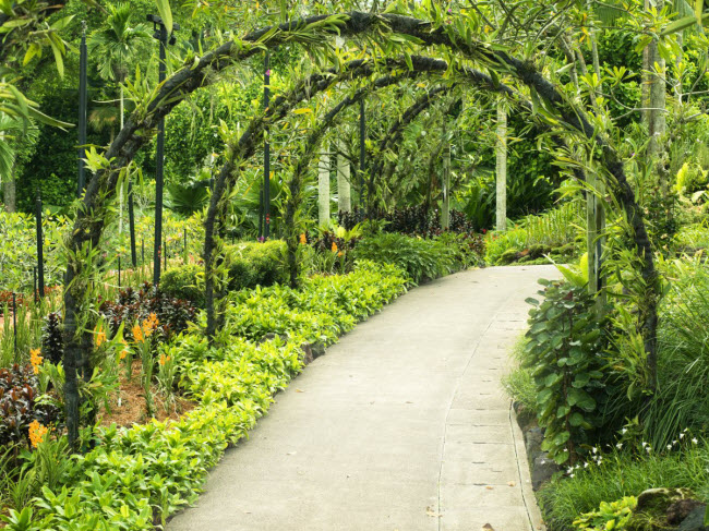 Singapore được coi là một trong những quốc gia sạch, an toàn và trật tự nhất thế giới. Du khách nên khám phá vườn bách thảo và vườn phong lan quốc gia trước khi mua sắm tại khu Orchard.